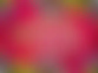 Honoring and Celebrating Hispanic Heritage in our CITY 