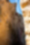 Rock climbing by the sea in Cascais: Guia