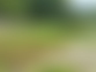 現地訪問