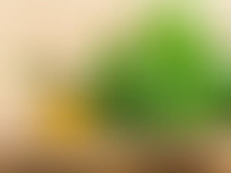 How Long Does CBD Stay in Your System?