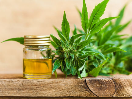 How Long Does CBD Stay in Your System?
