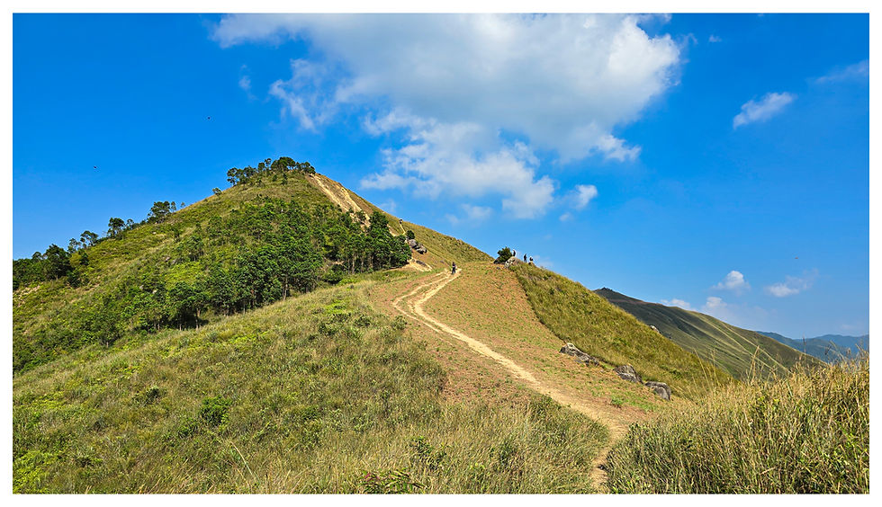 A section of Rooster Ridge