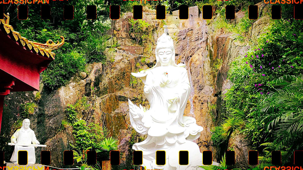 In the presence of Buddhas and Bodhisattvas, there is nothing to hide