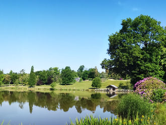 A guide to training in parks