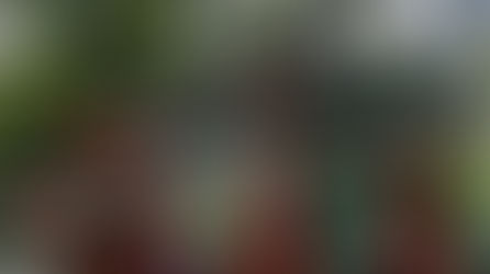 The Hong Kong Connection