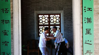 Who played the better Ip Man?