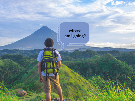 THE SHAPE AND STRUCTURE OF THE RCIA (34)