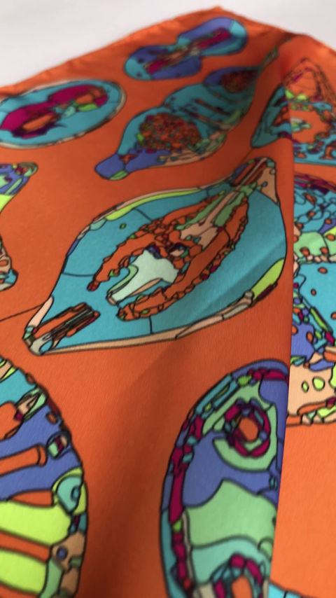 Thumbnail: Diatomeas III