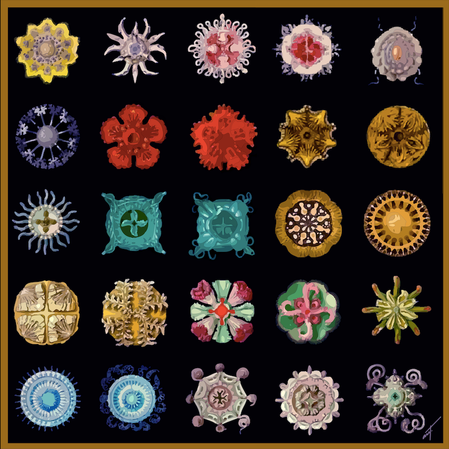 Thumbnail: Diatoms II