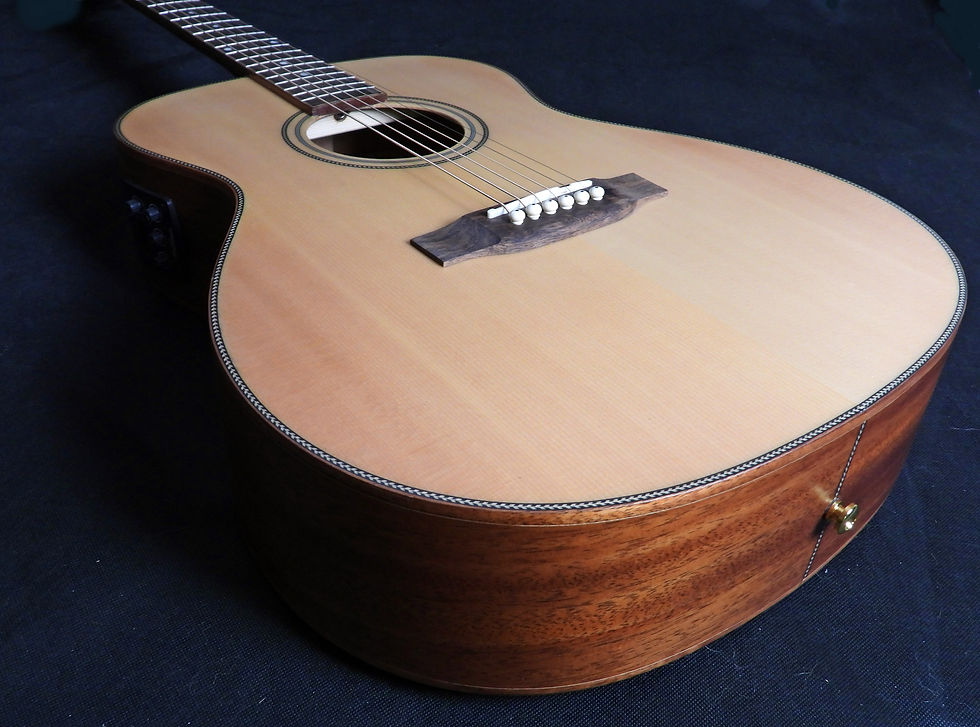 Thumbnail: FALTDSPRUOM - All Solid Body Electro-Acoustic