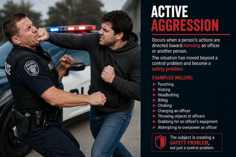 active aggression