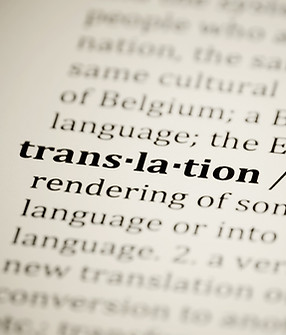 trans-la-tion_edited.jpg
