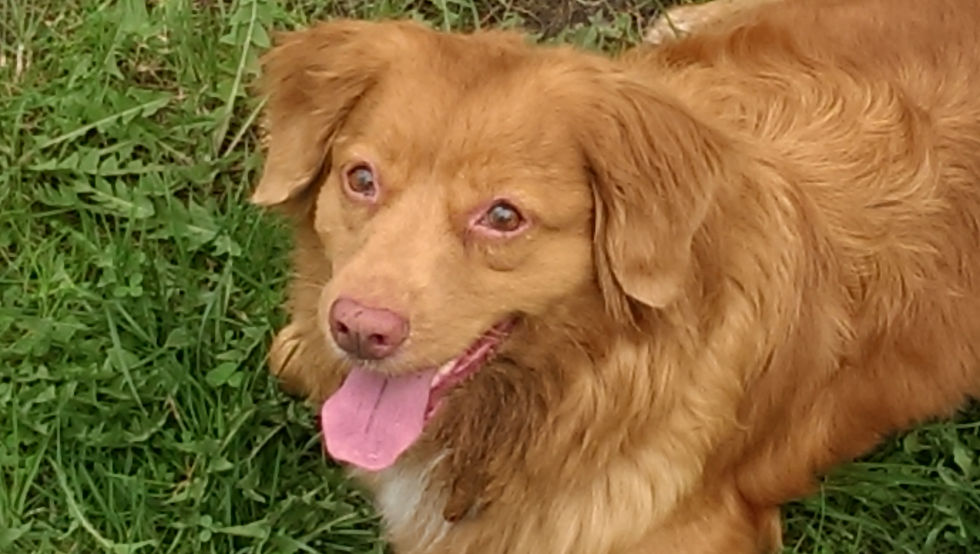 IMAG0032.jpg