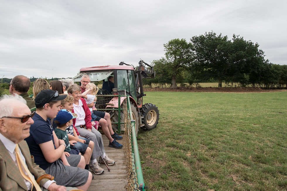 Stockwood Spring Festival