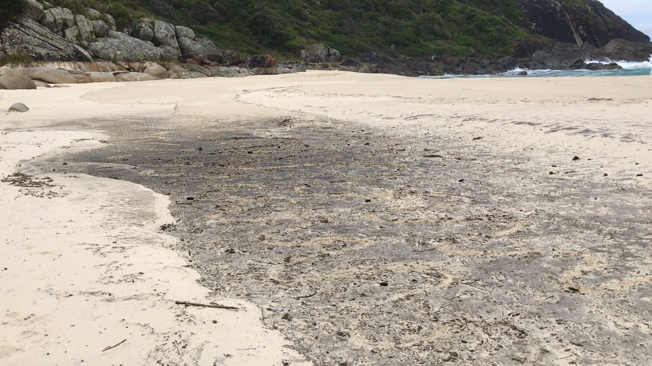 subtle body mandalas emerge from a Charnel Ground in the sand content media