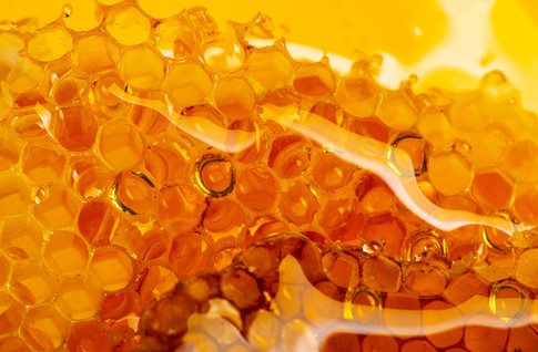 AdobeStock_322399633.jpeg