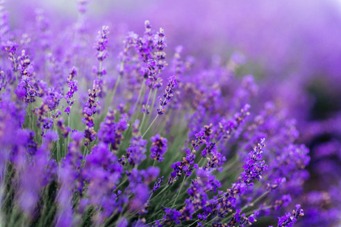 AdobeStock_311178888.jpeg