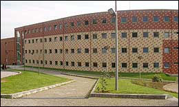 flup1