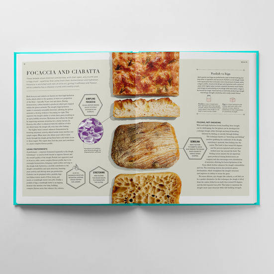 Still-life of focaccia and ciabatta showing tops and inside structures