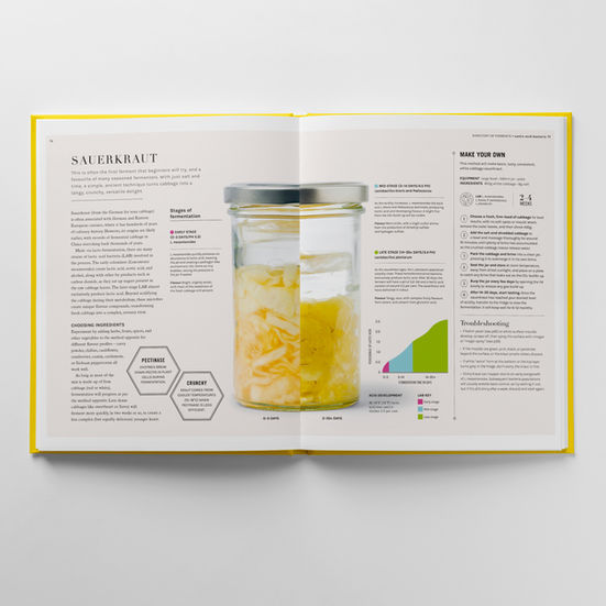 Photographic comparitive infographic showing a jar of sauerkraut with raw ingredients before and after fermentation