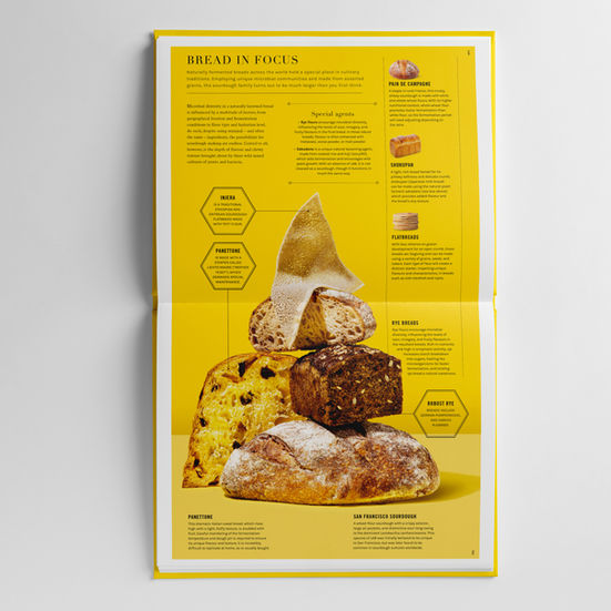 Still-life of different types of bread