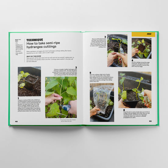 The Easy Garden technique
