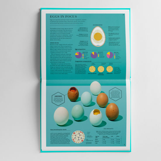 Still-life of white, brown and pale blue eggs