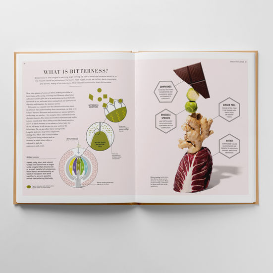 The Science of Flavour
