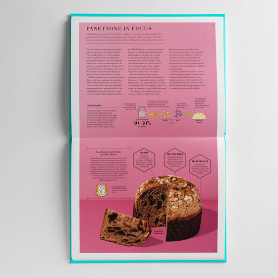 Still-life of panettone, a slice out to show interior