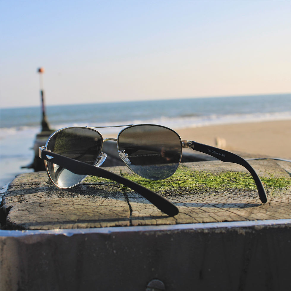 back view of sunglasses