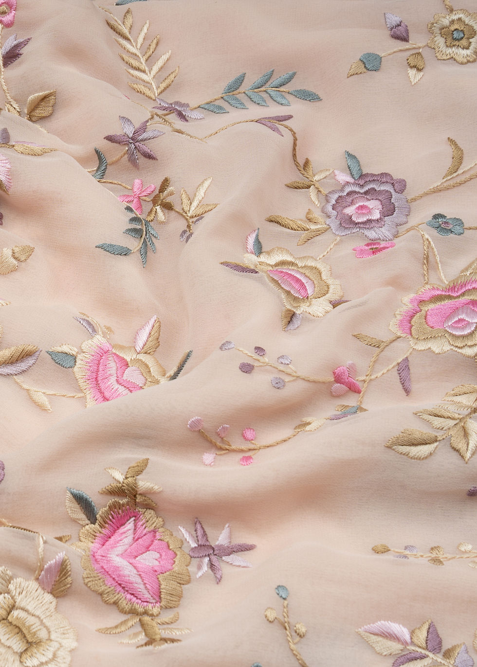 Thumbnail: Beige Gara Saree