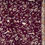 Thumbnail: Wine Gara Saree