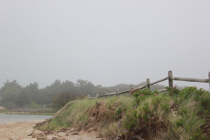 340AC5A0-0A73-4027-A5FA-F91A8E63ADB8_1_105_c.jpeg