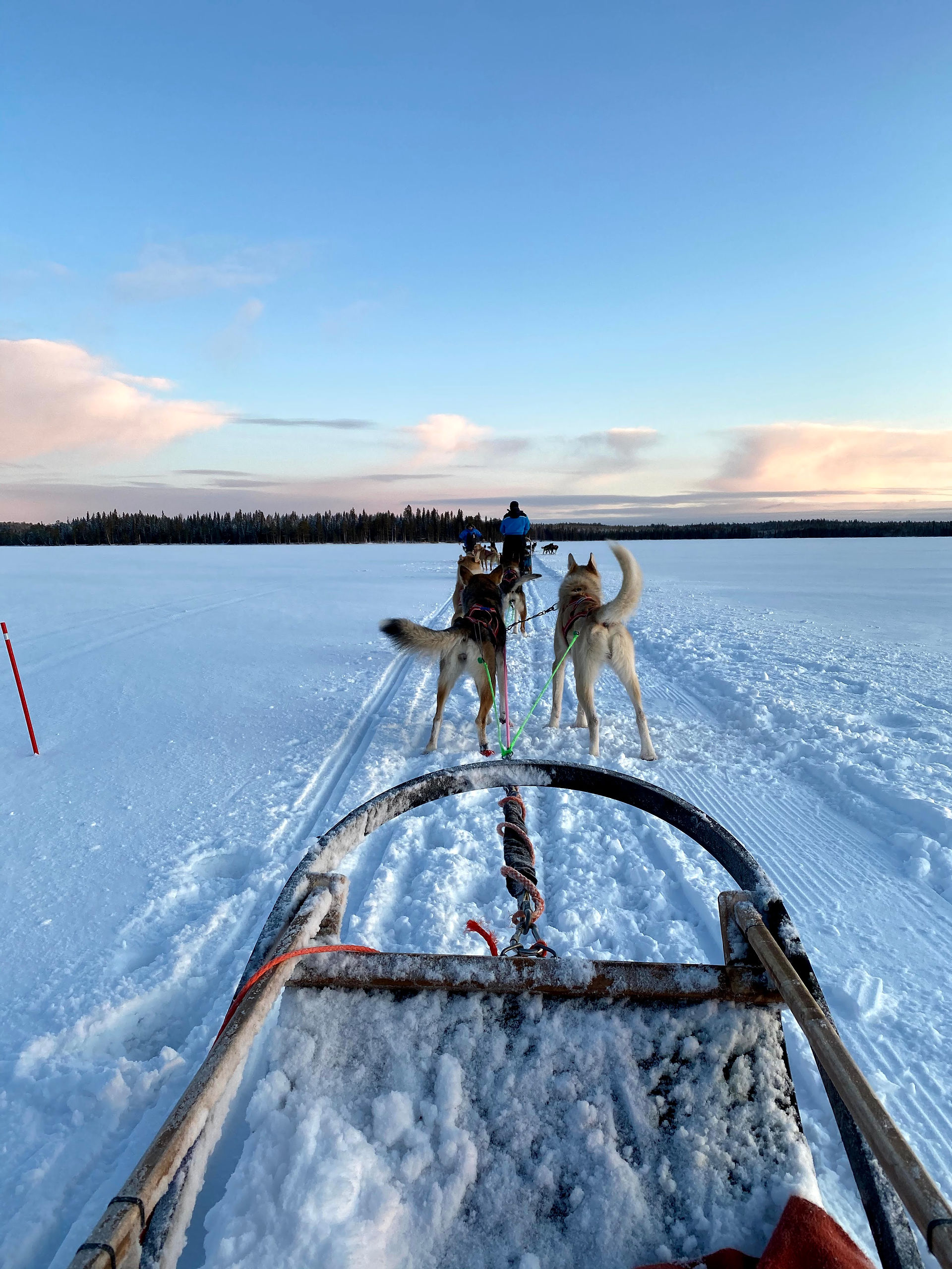 Huskies pulling a sledge over frozen lake
