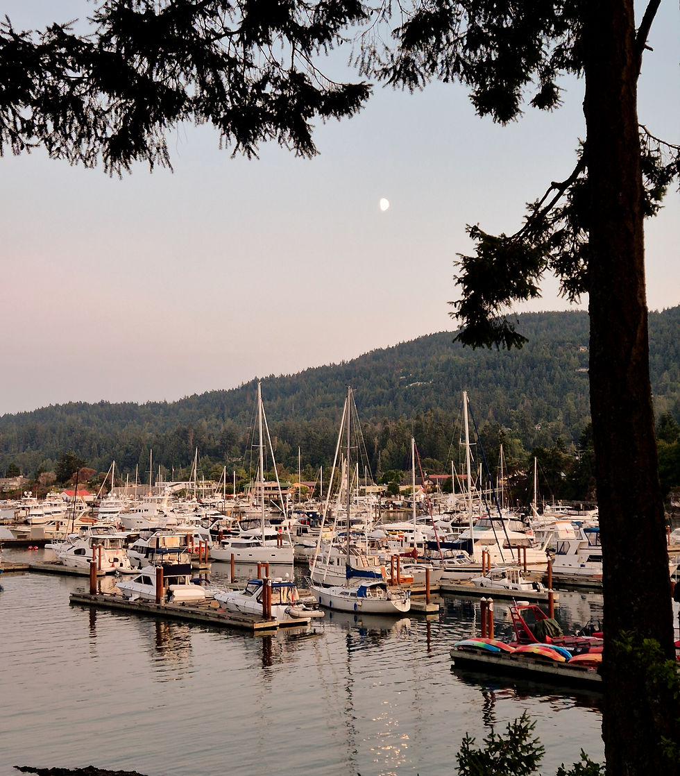 Eye-level view of a picnic setup with local food and wine overlooking Salt Spring Island landscape