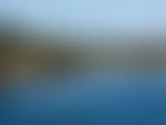 A bird's eyeview of a seaplane on water on Salt spring island harbour.