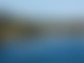 A bird's eyeview of a seaplane on water on Salt spring island harbour.