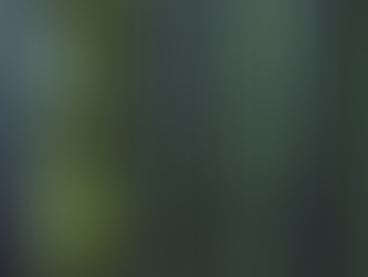 The Environmental Impact of Crypto Hosting Services: A Closer Look