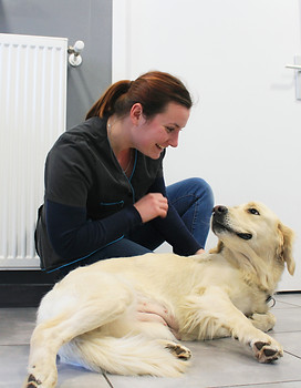 Auxiliaire Spécialisée Vétérinaire