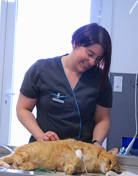 Auxiliaire Spécialisée Vétérinaire