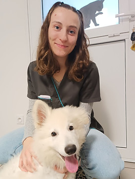 Auxiliaire Spécialisée Vétérinaire