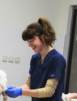 Amélie Cazorla Vétérinaire