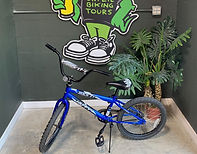 St Pete Bike Rentals Kids 20 inch bike