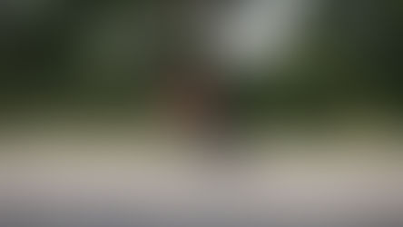 Impact de la natation sur le cyclisme en triathlon : Optimisez vos transitions pour de meilleures performances