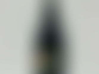 Tezza Corte Majoli Amarone 2021