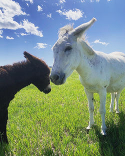 BA633C81-7940-487A-B6A4-07F74B4E258D