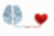Heart and brain connected by a knot on a white background.jpg