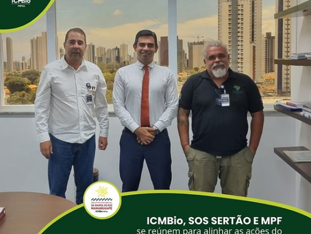 ICMBio, SOS Sertão e Ministério Público se reúnem para alinhar as ações do Projeto REPLANTA MANGUE.