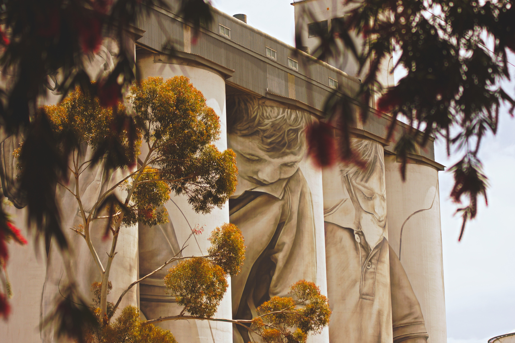 Country Gallery