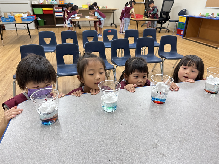 Preschool Science.HEIC